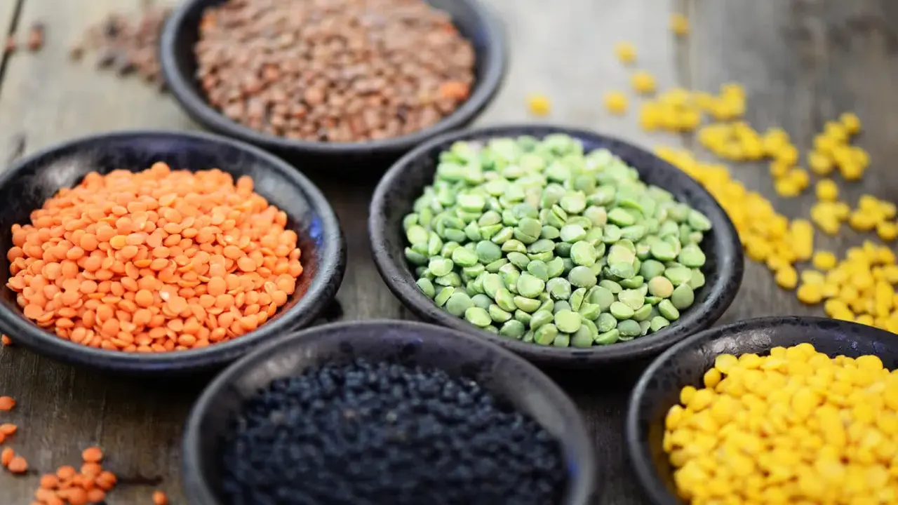 Schalen mit roten, braunen, grünen, schwarzen und gelben Linsen. Ein wahres Kraftpaket: Linsen Protein pro 100g ist beeindruckend hoch.