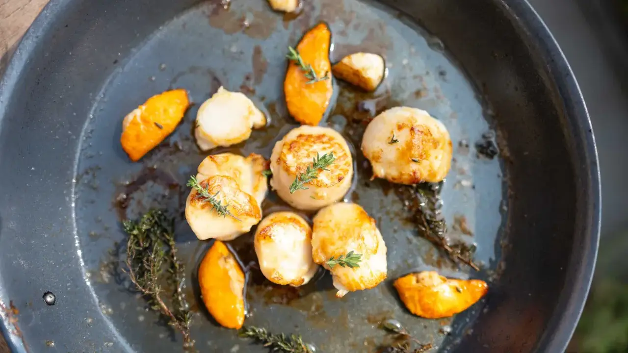 Gebratene Jakobsmuscheln mit Kürbisspalten und Thymian in einer Pfanne. Ein einfaches Jakobsmuscheln Rezept für Genießer.