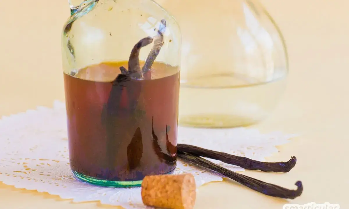 Vanilleextrakt in einer Flasche mit Vanilleschoten daneben. Eine tolle vanilleschote alternative für süße Kreationen.