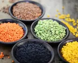 Schalen mit roten, braunen, grünen, schwarzen und gelben Linsen. Ein wahres Kraftpaket: Linsen Protein pro 100g ist beeindruckend hoch.
