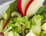 Frischer Romana Salat mit Apfelstücken und roten Mangoldblättern in einer weißen Schüssel.