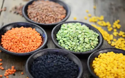 Schalen mit roten, braunen, grünen, schwarzen und gelben Linsen. Ein wahres Kraftpaket: Linsen Protein pro 100g ist beeindruckend hoch.