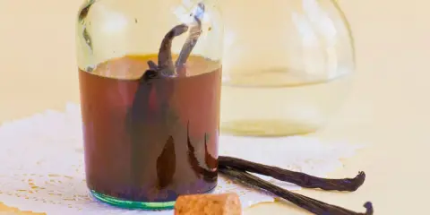 Vanilleextrakt in einer Flasche mit Vanilleschoten daneben. Eine tolle vanilleschote alternative für süße Kreationen.