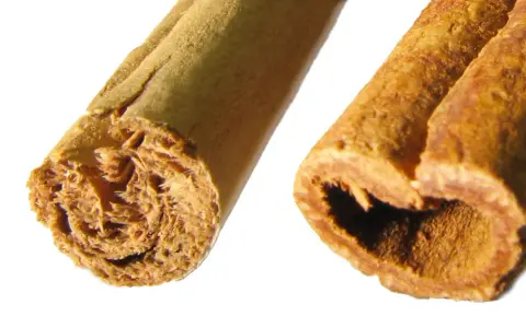 Zwei Zimtstangen im Detail. Die Frage "wieviel Zimt am Tag" beschäftigt viele, doch diese Aufnahme zeigt nur die reine Form des Gewürzes.
