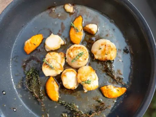 Gebratene Jakobsmuscheln mit Kürbisspalten und Thymian in einer Pfanne. Ein einfaches Jakobsmuscheln Rezept für Genießer.