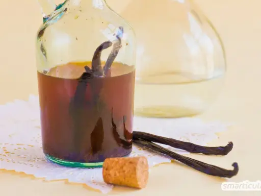 Vanilleextrakt in einer Flasche mit Vanilleschoten daneben. Eine tolle vanilleschote alternative für süße Kreationen.