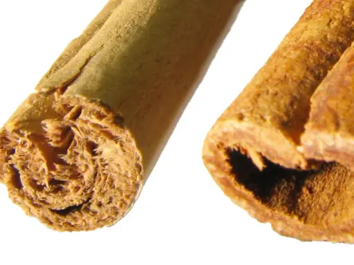 Zwei Zimtstangen im Detail. Die Frage "wieviel Zimt am Tag" beschäftigt viele, doch diese Aufnahme zeigt nur die reine Form des Gewürzes.