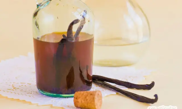 Vanilleextrakt in einer Flasche mit Vanilleschoten daneben. Eine tolle vanilleschote alternative für süße Kreationen.