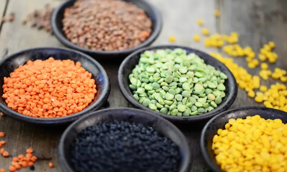 Schalen mit roten, braunen, grünen, schwarzen und gelben Linsen. Ein wahres Kraftpaket: Linsen Protein pro 100g ist beeindruckend hoch.