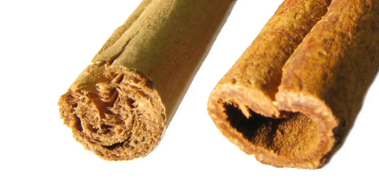 Zwei Zimtstangen im Detail. Die Frage 