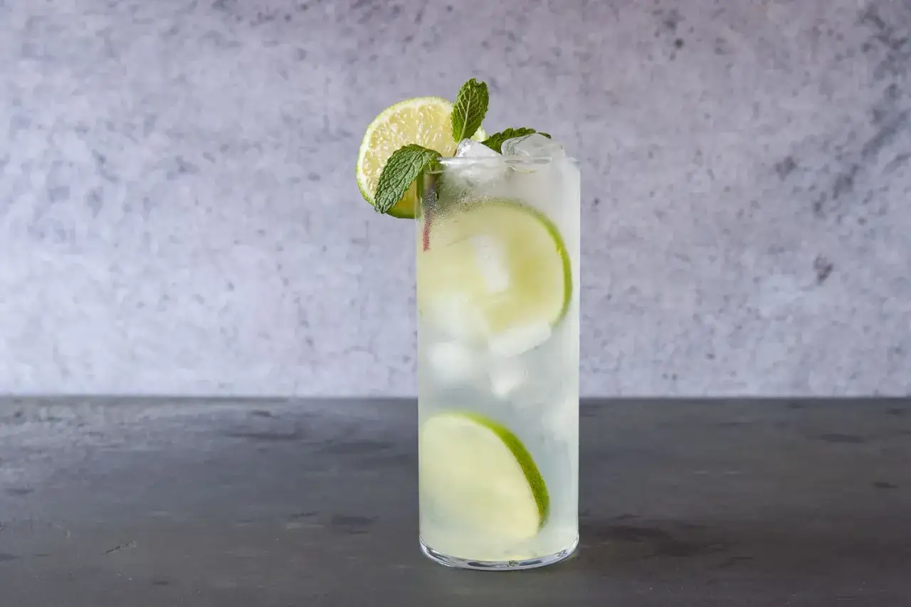 Erfrischendes Getränk mit Limettenscheiben und Minze, perfekt für sommerliche Limetten Rezepte.