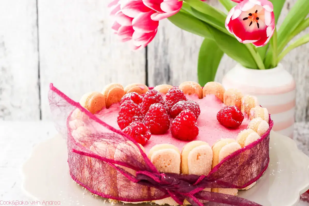 Ein rosa Charlotte Kuchen mit frischen Himbeeren und Löffelbiskuits, verziert mit einem bordeauxroten Band.